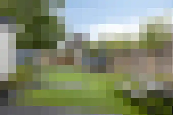Zwaluwstraat 2 Wijchen thumbnail 34