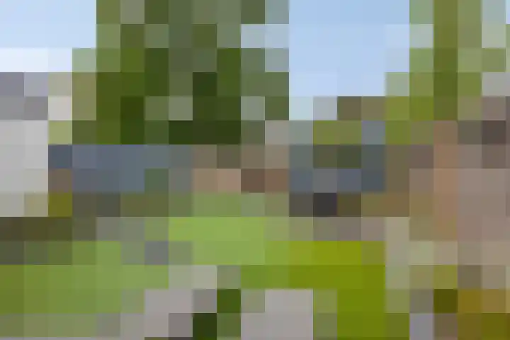 Zwaluwstraat 2 Wijchen thumbnail 35