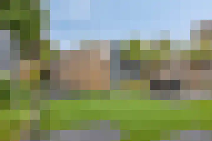 Zwaluwstraat 2 Wijchen thumbnail 36