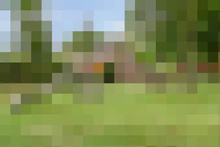 Zwaluwstraat 2 Wijchen thumbnail 40