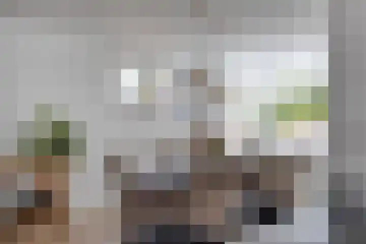 Zwaluwstraat 2 Wijchen thumbnail 8