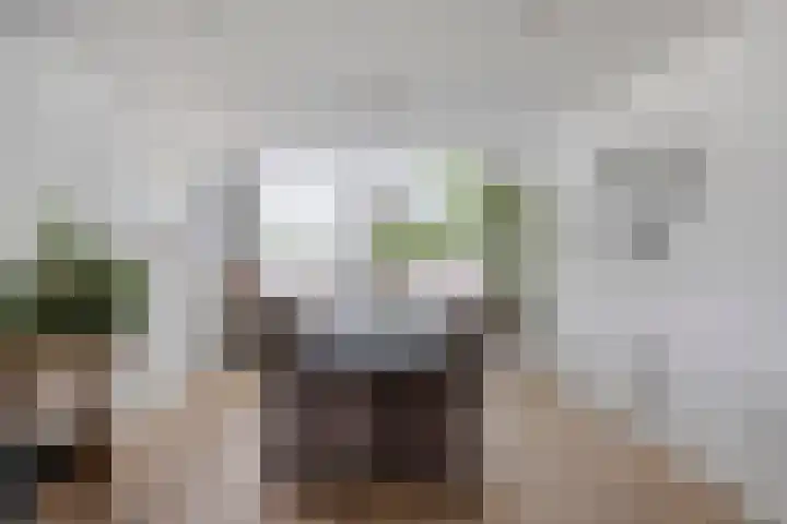 Zwaluwstraat 2 Wijchen thumbnail 9