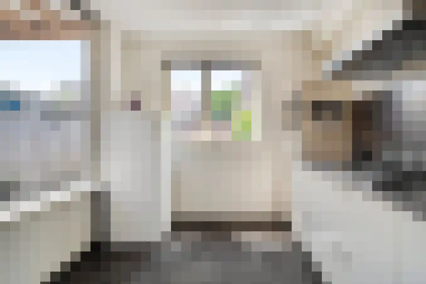 Zwaluwstraat 21 Ermelo thumbnail 17