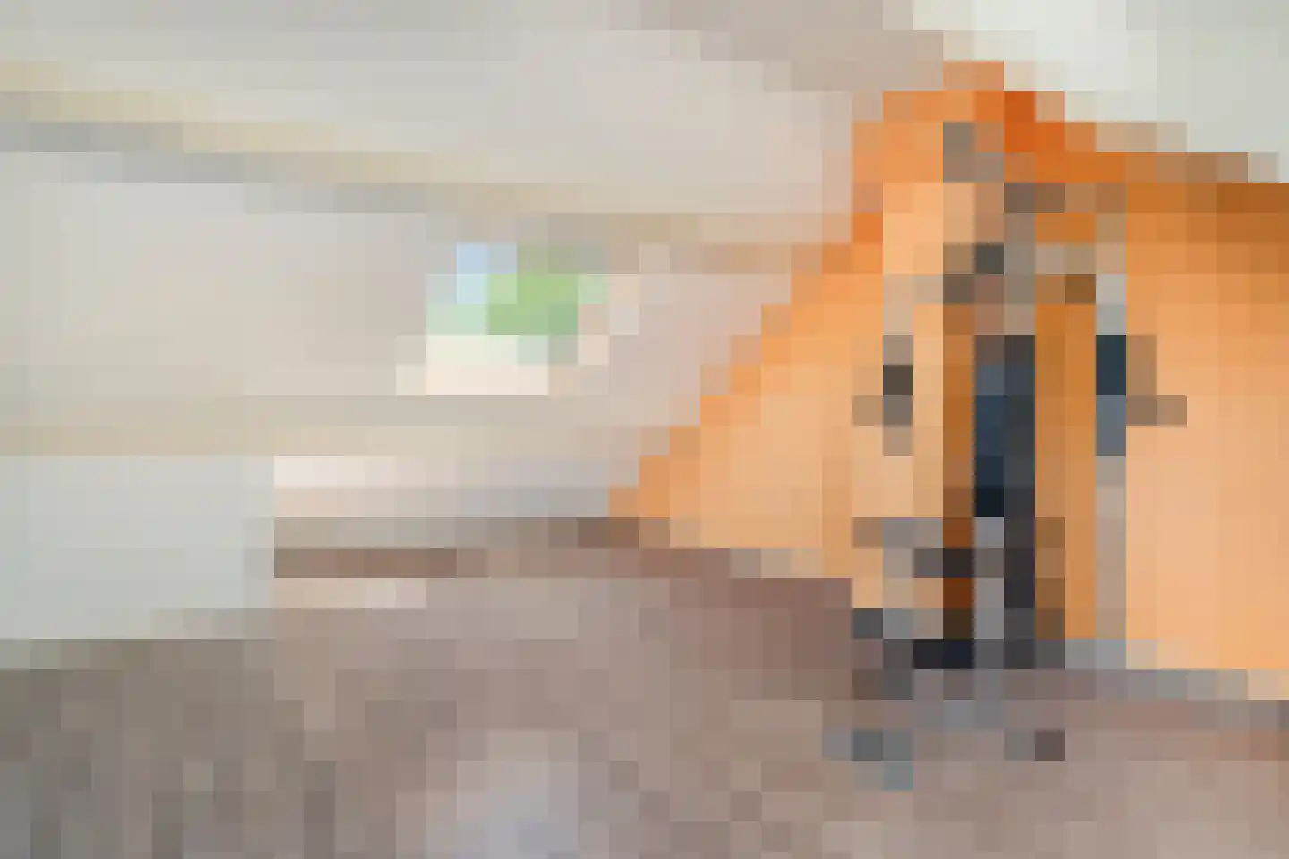 Zwaluwstraat 21 Ermelo thumbnail 32