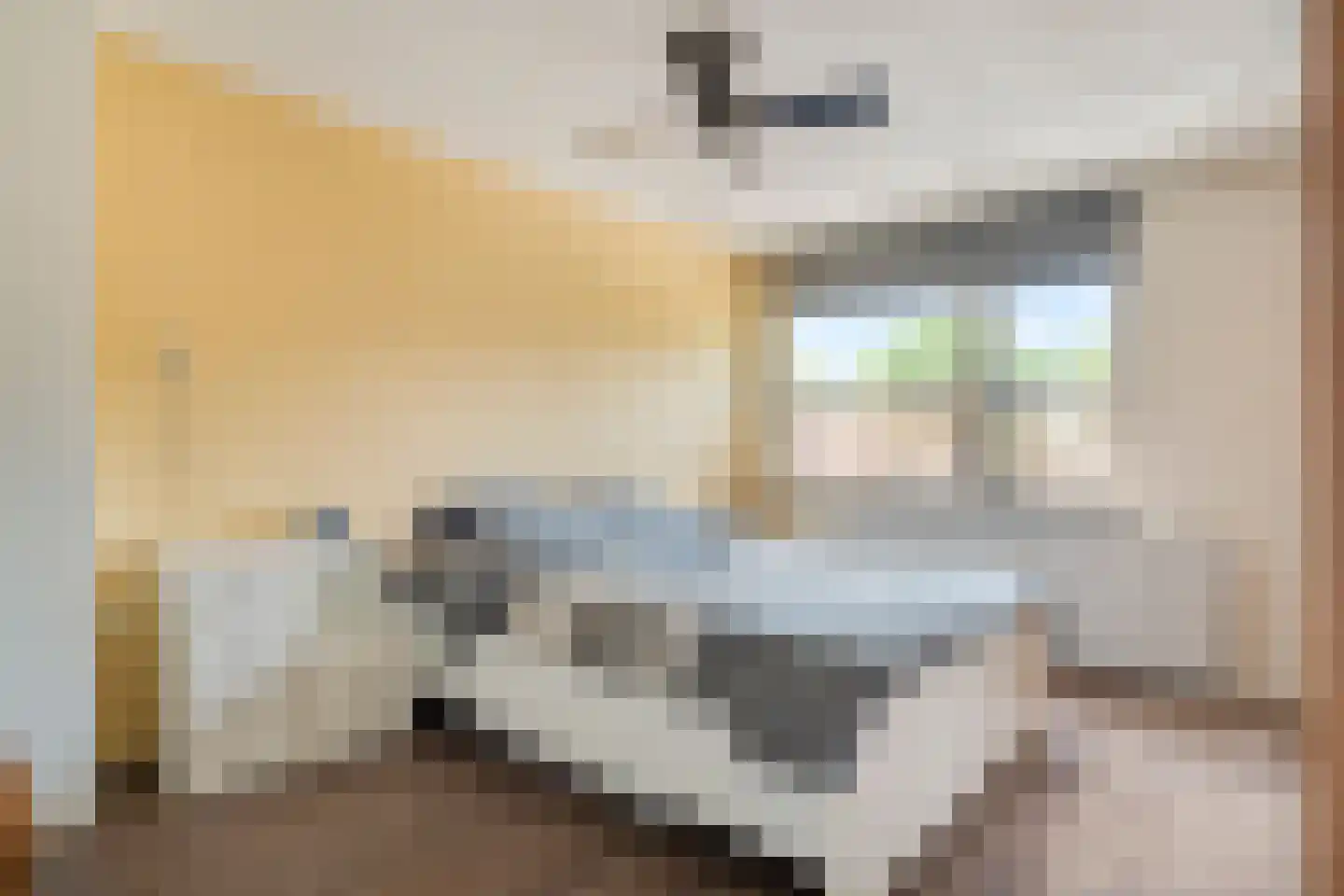 Zwaluwstraat 21 Ermelo thumbnail 4