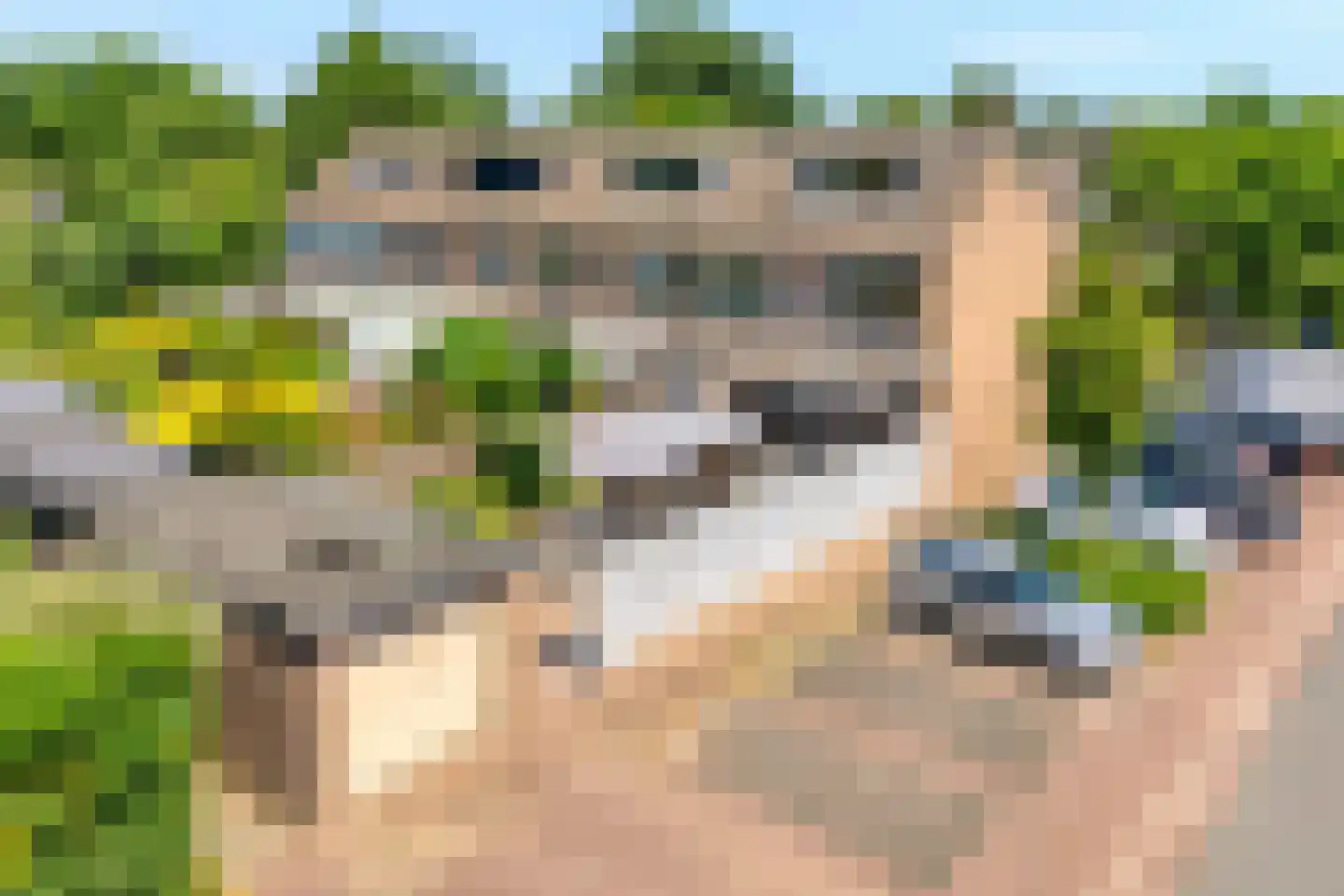 Zwaluwstraat 21 Ermelo thumbnail 41