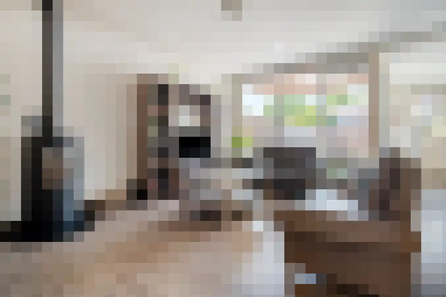 Zwaluwstraat 21 Ermelo thumbnail 8