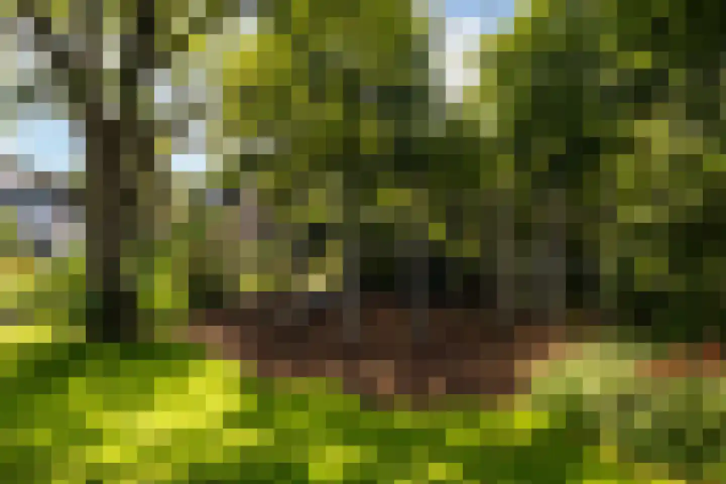 Zwaluwstraat 210 Ermelo thumbnail 39