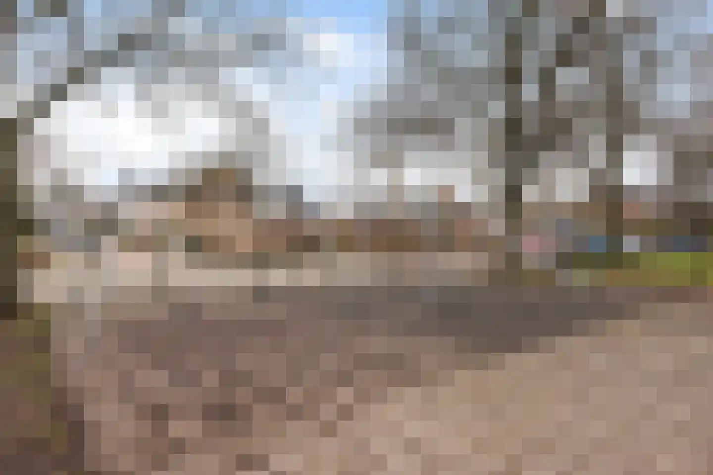 Zwaluwstraat 212 Maassluis thumbnail 36