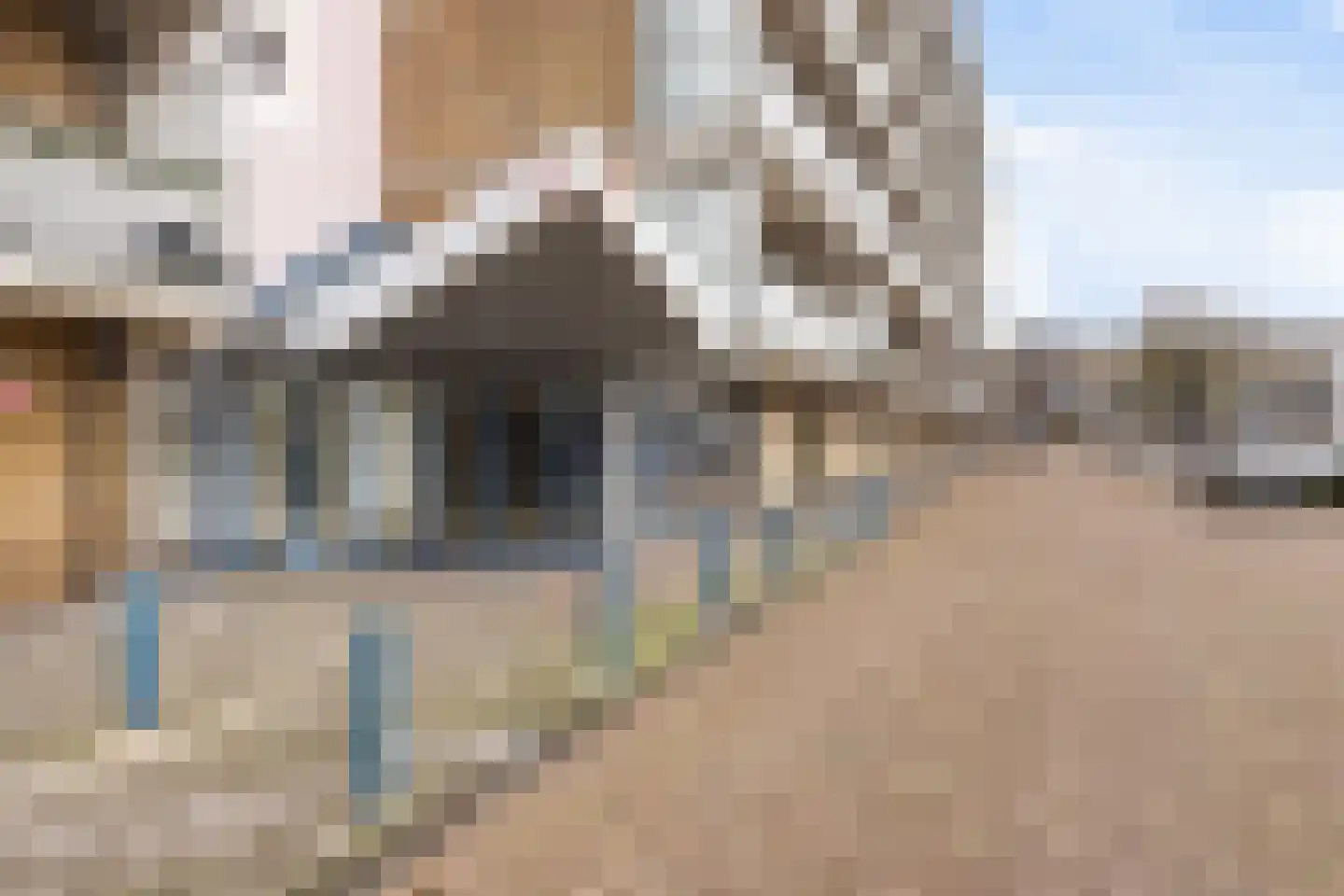Zwaluwstraat 212 Maassluis thumbnail 5