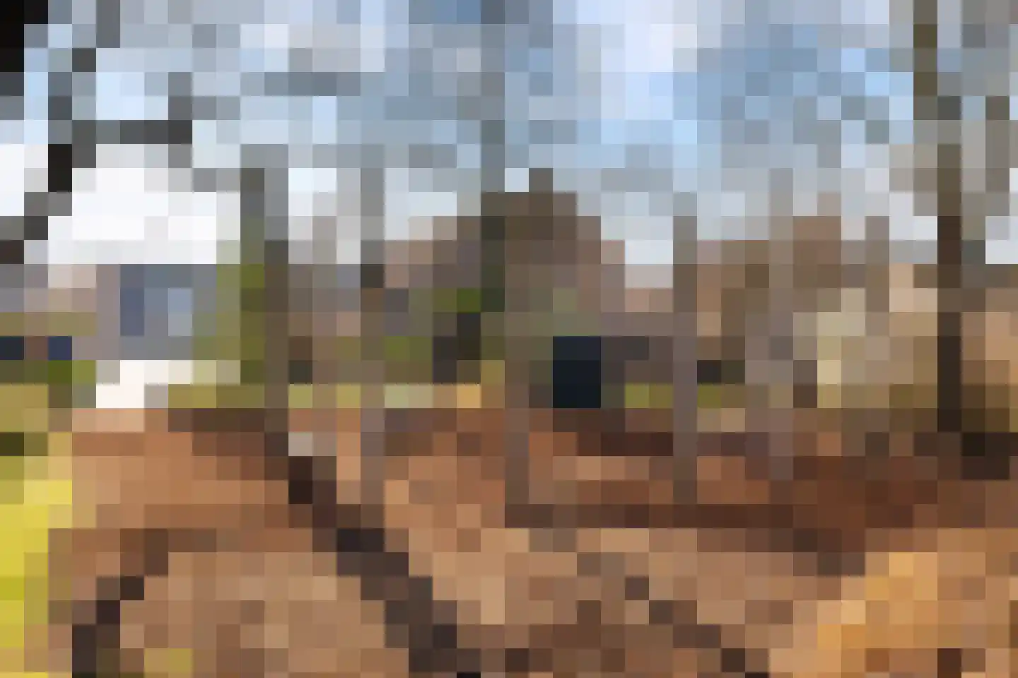 Zwaluwstraat 216 Ermelo thumbnail 39