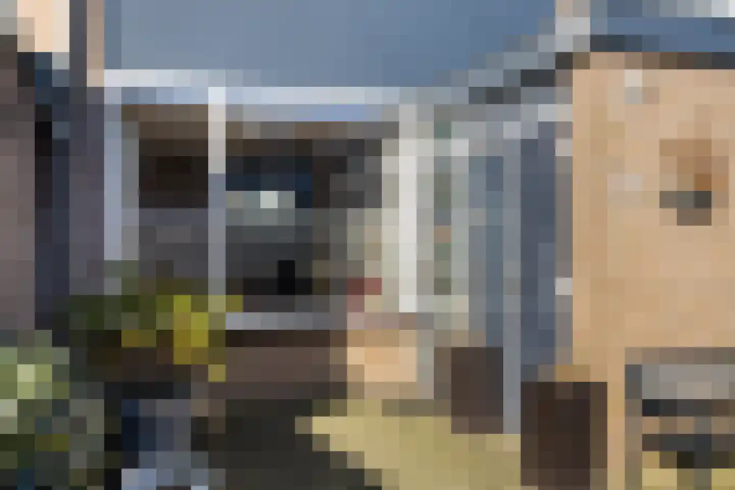 Zwaluwstraat 216 Ermelo thumbnail 4
