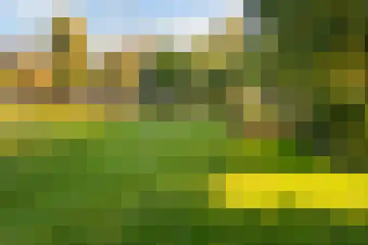 Zwaluwstraat 224 Ermelo thumbnail 45