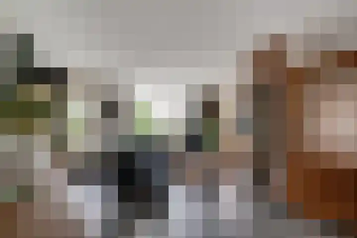 Zwaluwstraat 23 Didam thumbnail 13