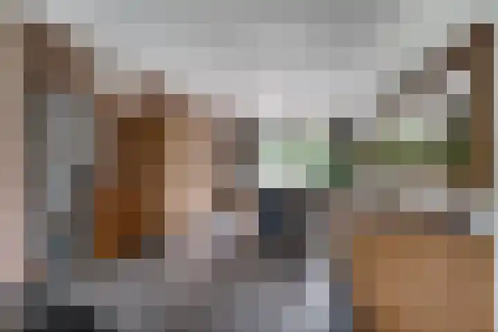 Zwaluwstraat 23 Didam thumbnail 17