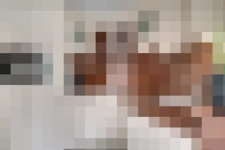 Zwaluwstraat 23 Didam thumbnail 21