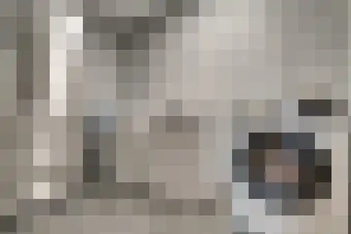 Zwaluwstraat 23 Didam thumbnail 25