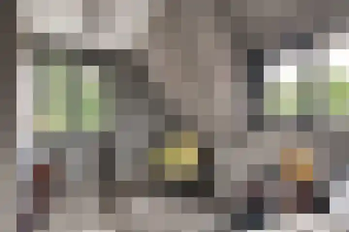 Zwaluwstraat 23 Didam thumbnail 37