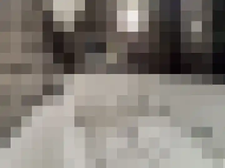 Zwaluwstraat 23 Didam thumbnail 42