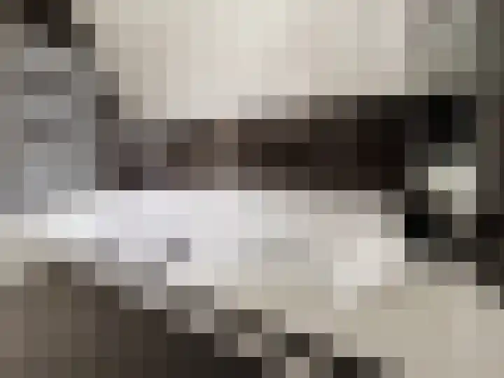 Zwaluwstraat 23 Didam thumbnail 43