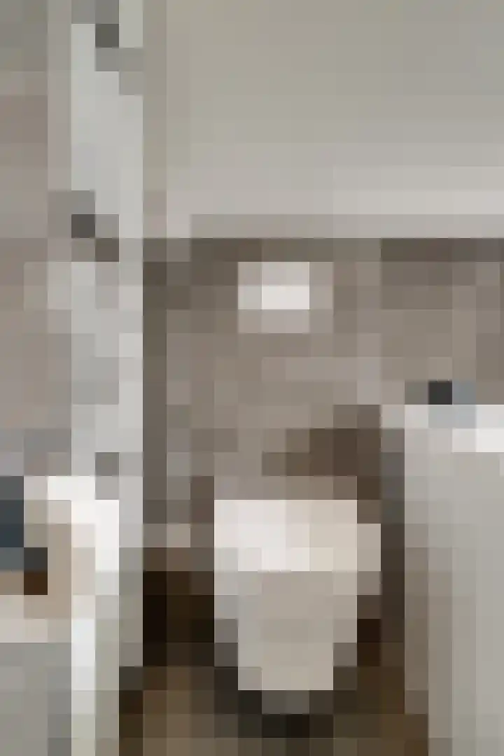 Zwaluwstraat 23 Didam thumbnail 45