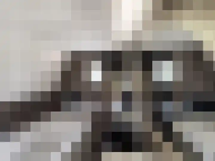 Zwaluwstraat 23 Didam thumbnail 48