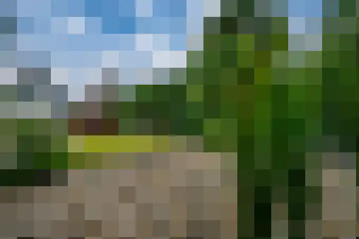 Zwaluwstraat 23 Didam thumbnail 50