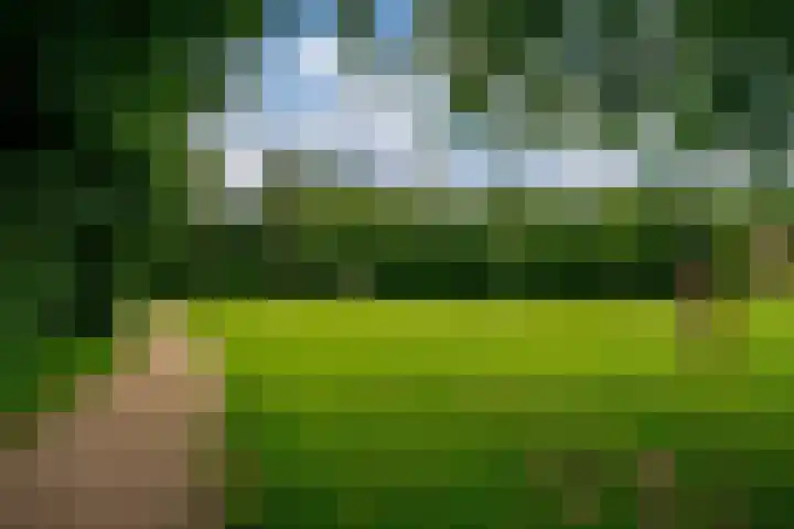 Zwaluwstraat 23 Didam thumbnail 53