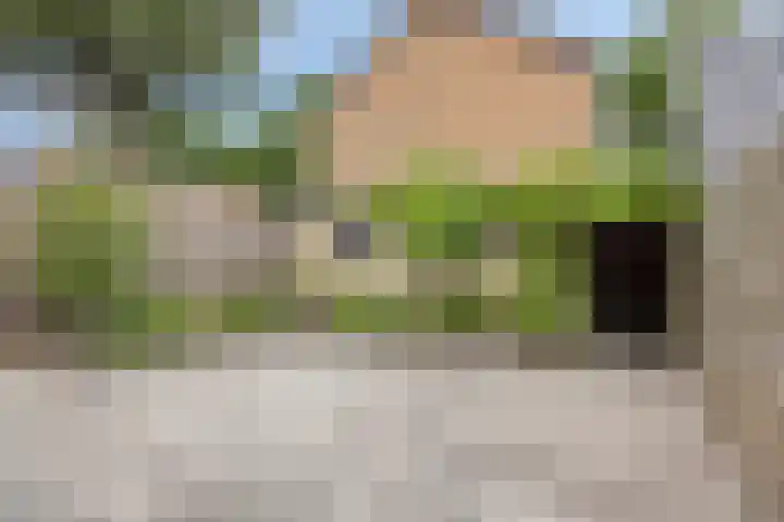 Zwaluwstraat 28 Vaassen thumbnail 33