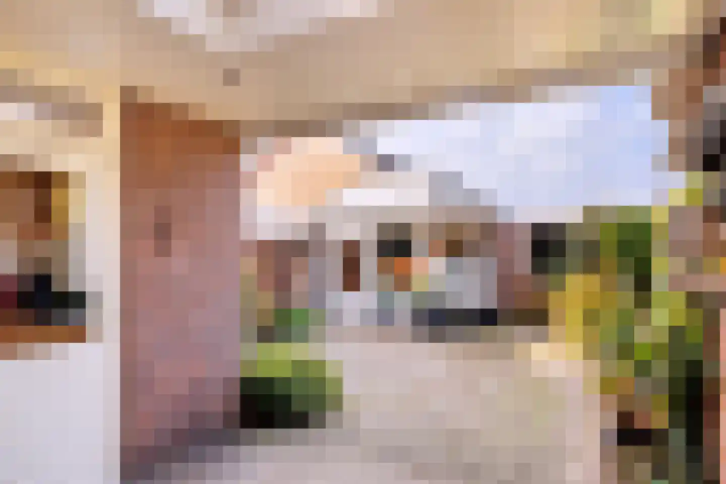Zwaluwstraat 3 Helmond thumbnail 20