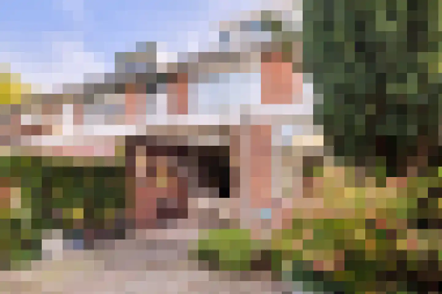 Zwaluwstraat 3 Helmond thumbnail 24