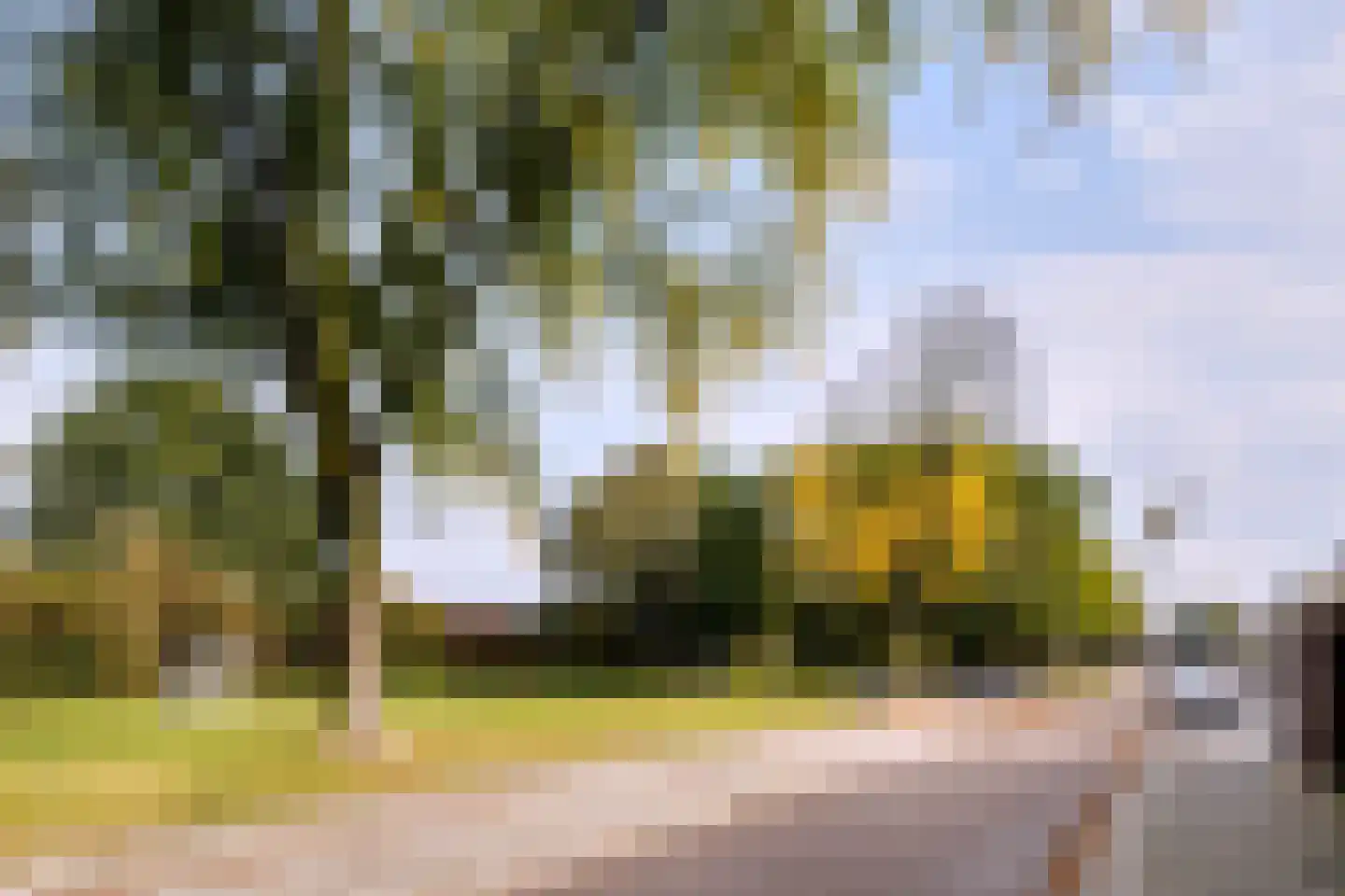 Zwaluwstraat 3 Helmond thumbnail 8