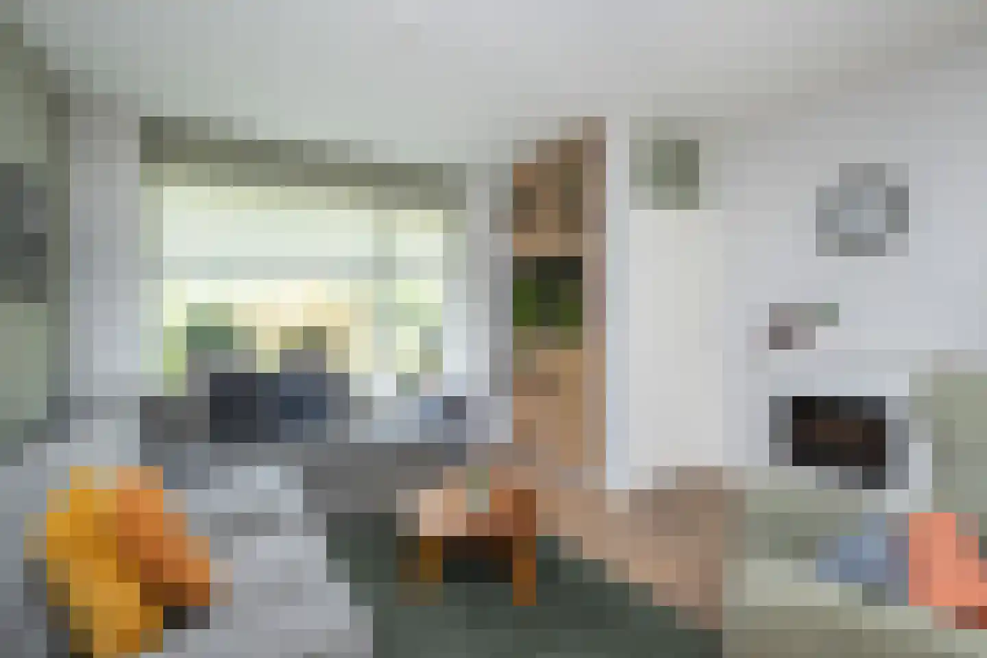 Zwaluwstraat 3 Sommelsdijk thumbnail 10