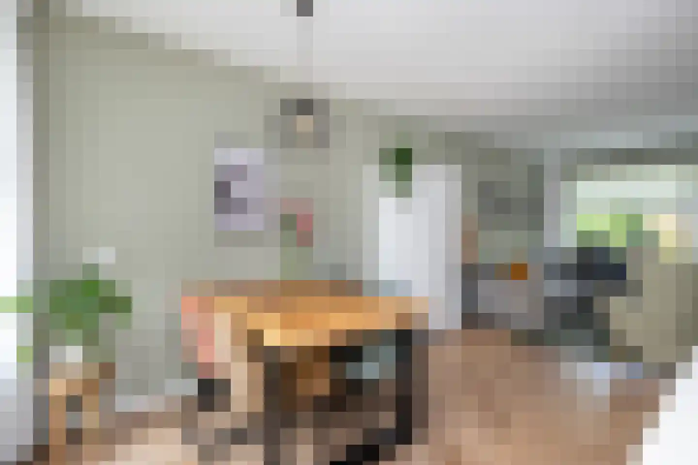 Zwaluwstraat 3 Sommelsdijk thumbnail 11