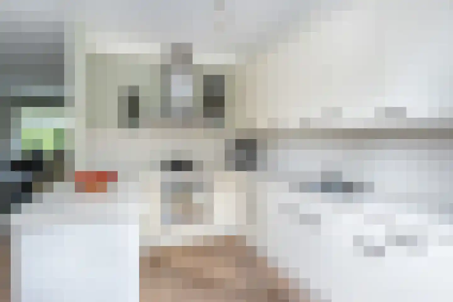 Zwaluwstraat 3 Sommelsdijk thumbnail 14