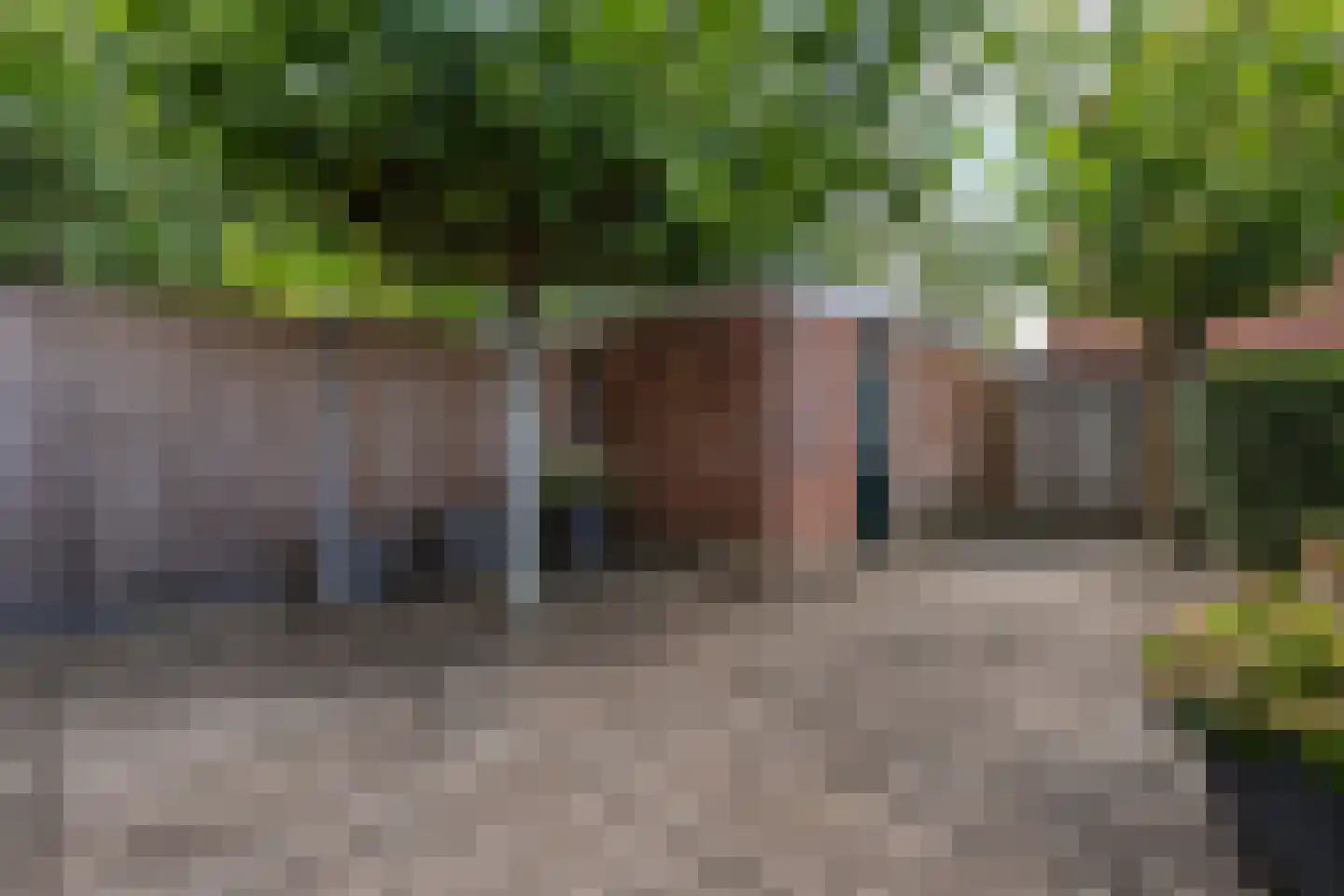 Zwaluwstraat 3 Sommelsdijk thumbnail 29