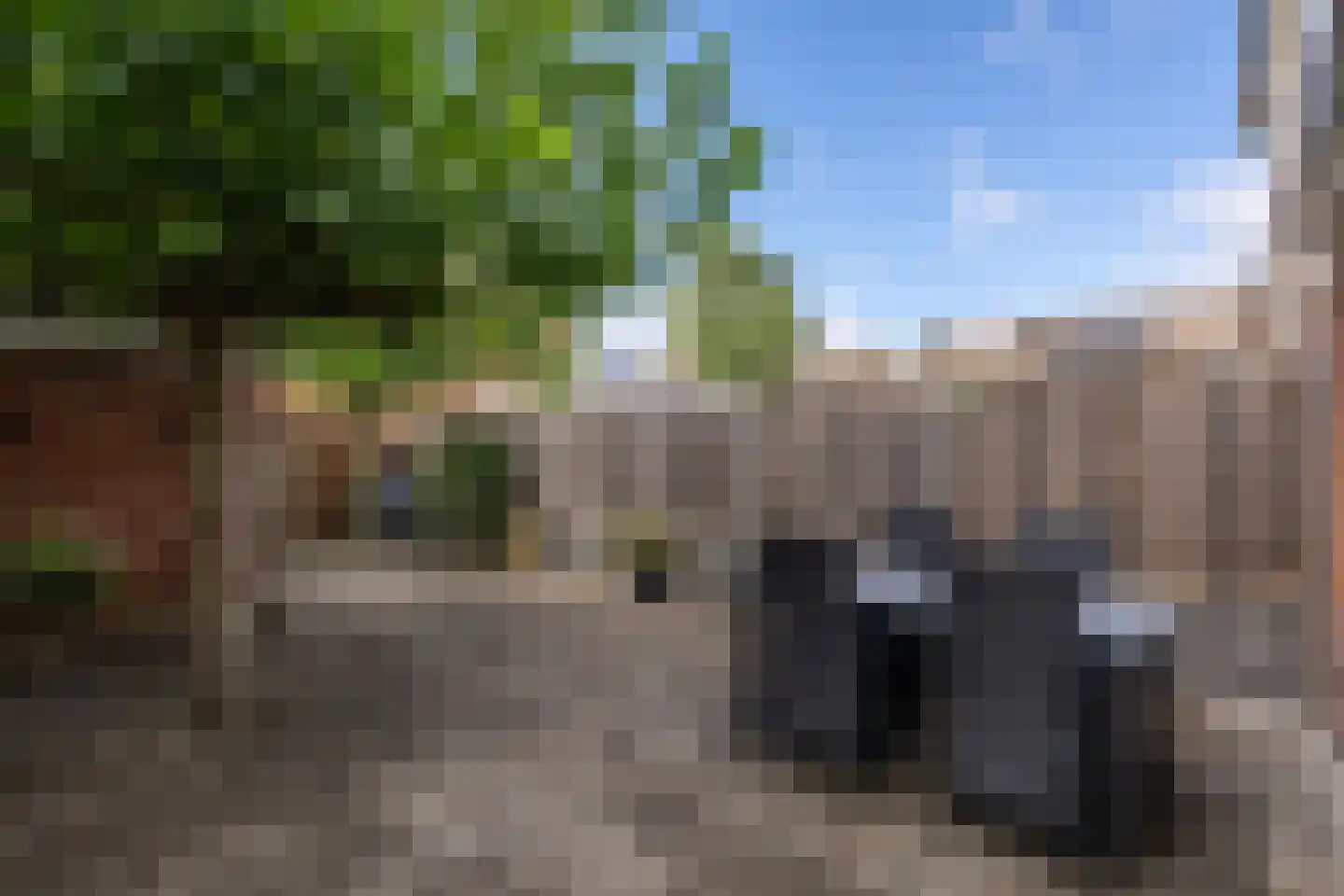 Zwaluwstraat 3 Sommelsdijk thumbnail 32