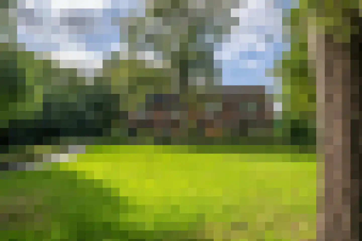 Zwaluwstraat 3 Sommelsdijk thumbnail 34