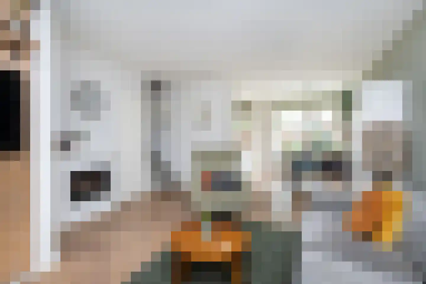 Zwaluwstraat 3 Sommelsdijk thumbnail 4