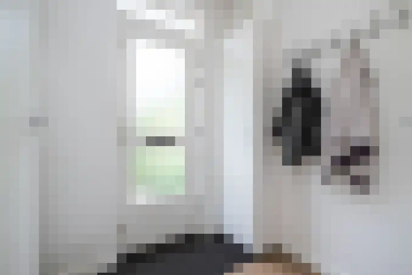 Zwaluwstraat 3 Sommelsdijk thumbnail 5
