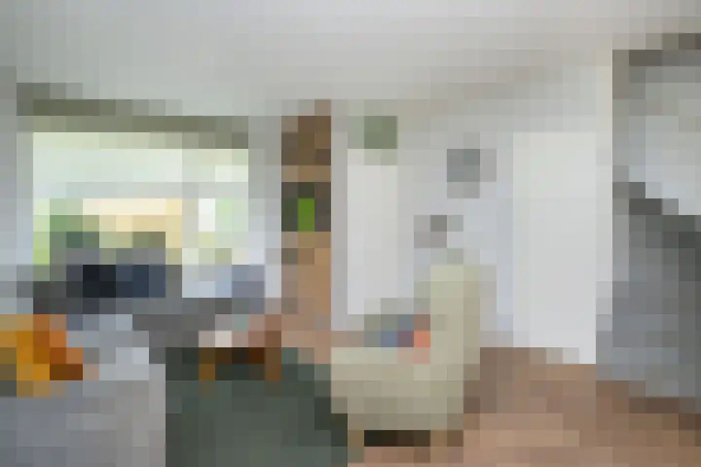 Zwaluwstraat 3 Sommelsdijk thumbnail 9