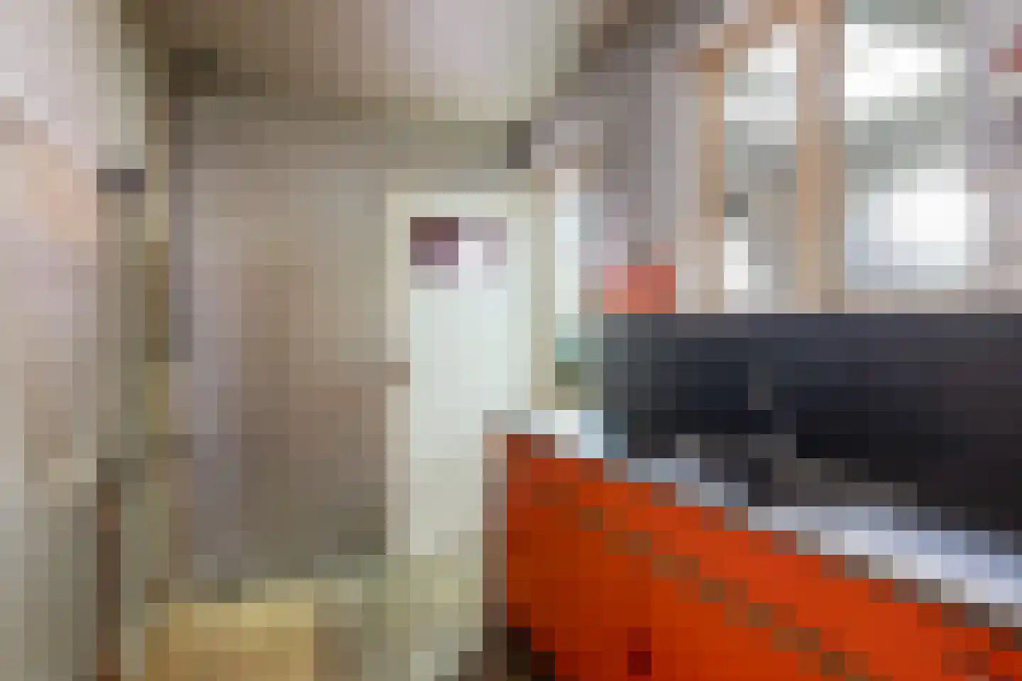 Zwaluwstraat 3 Utrecht thumbnail 11