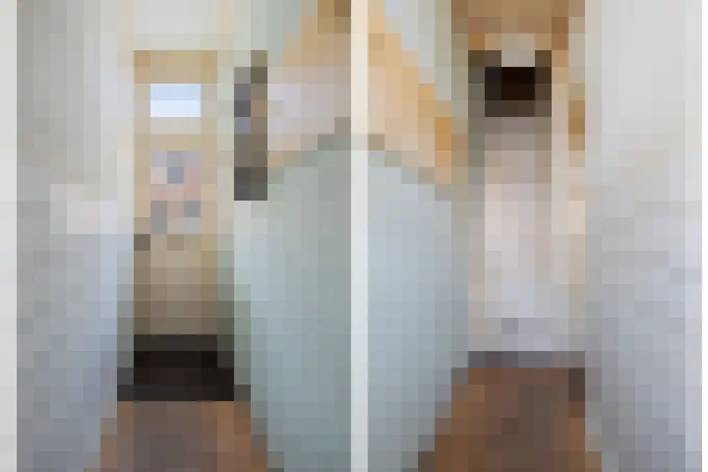 Zwaluwstraat 3 Utrecht thumbnail 6