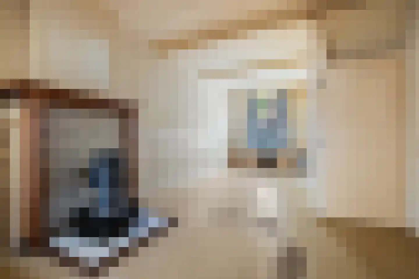 Zwaluwstraat 3 Utrecht thumbnail 7
