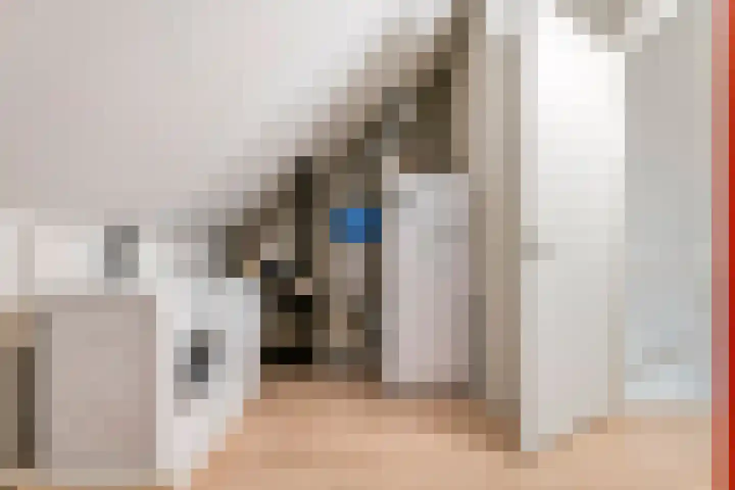 Zwaluwstraat 31 Tiel thumbnail 32