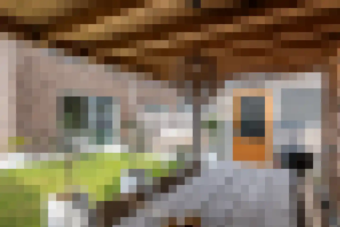 Zwaluwstraat 31 Tiel thumbnail 38