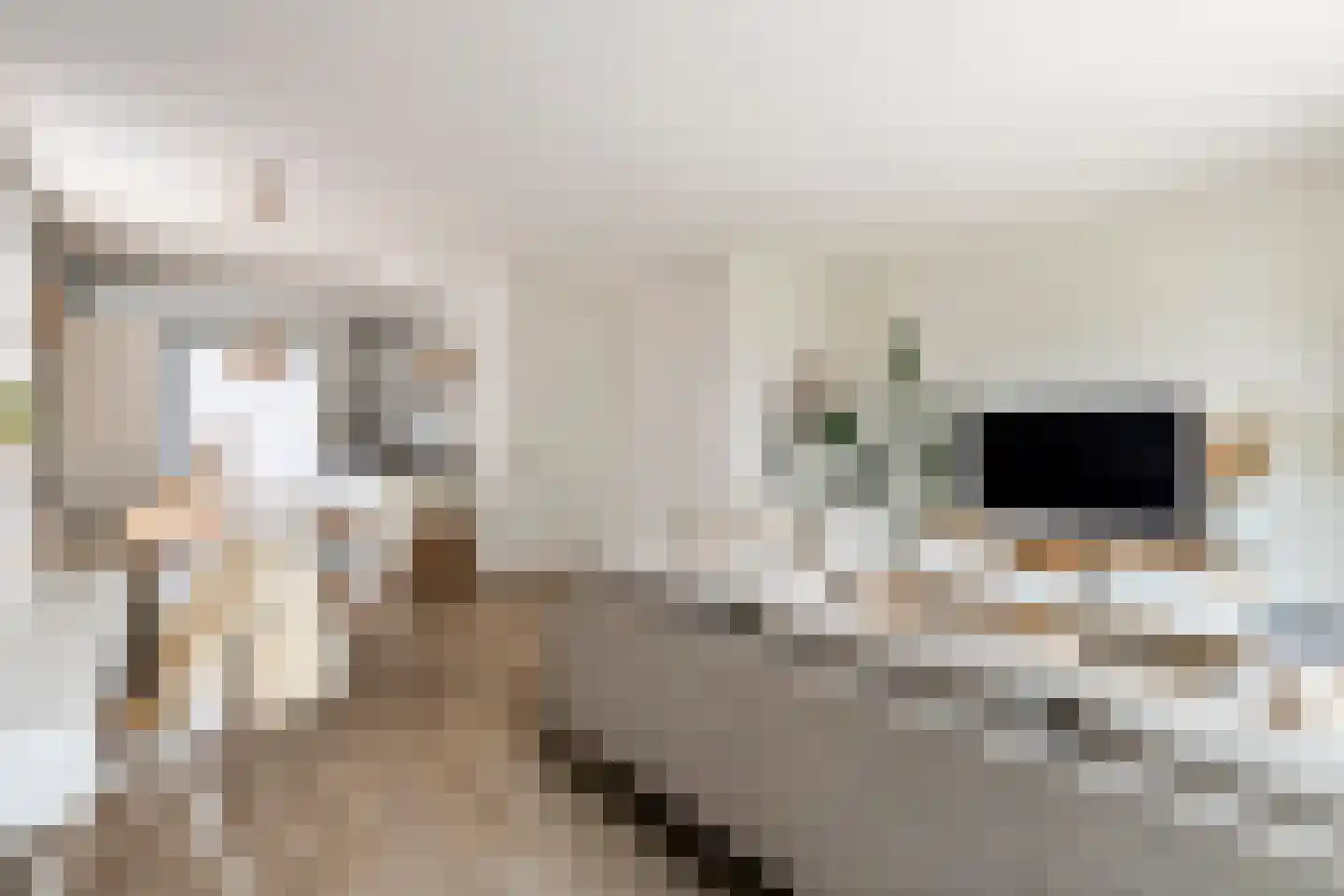 Zwaluwstraat 31 Tiel thumbnail 8