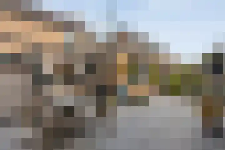Zwaluwstraat 32 Hardenberg thumbnail 49