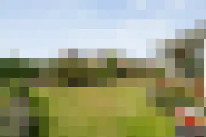 Zwaluwstraat 32 Hardenberg thumbnail 54
