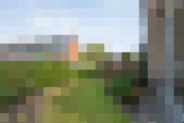Zwaluwstraat 32 Hardenberg thumbnail 56